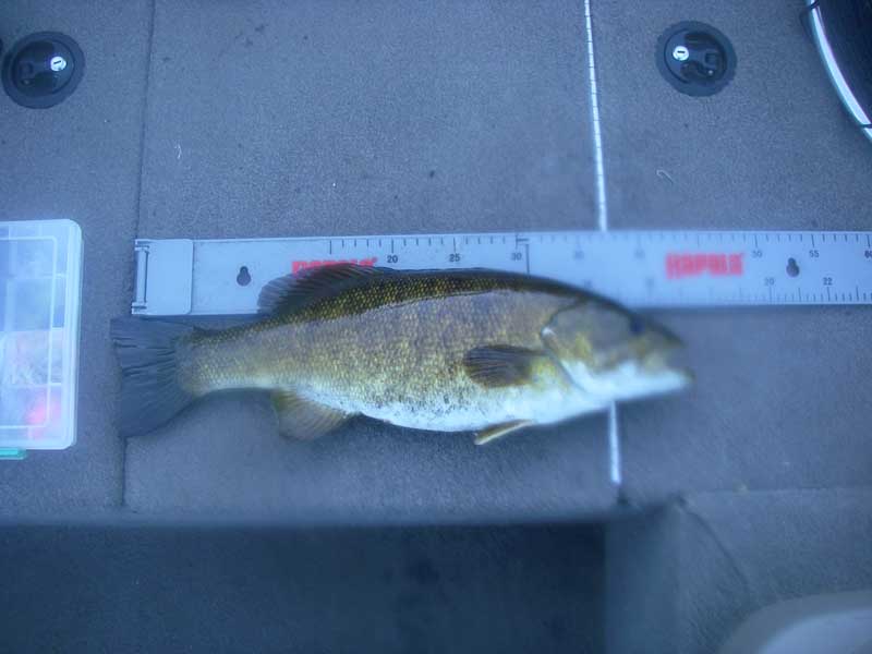 5-4_smallie2.jpg