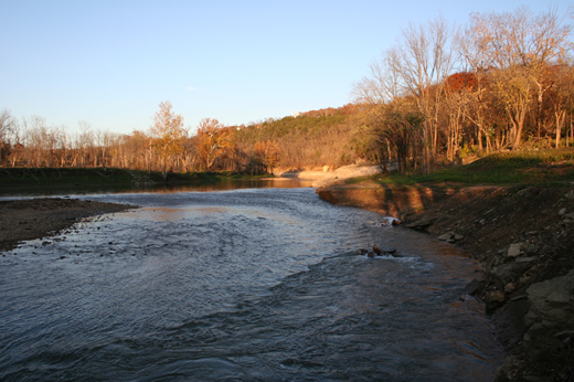 swan_creek_november_2011_h.jpg