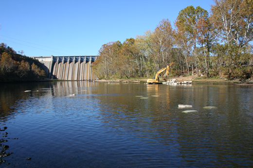 taneycomo_habitat_project_2011_k.jpg