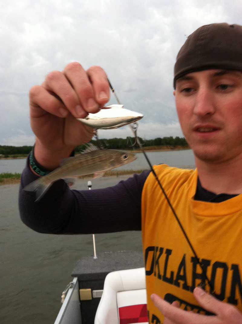 texoma_striper1.jpg