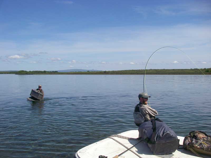 naknek_fishon.JPG