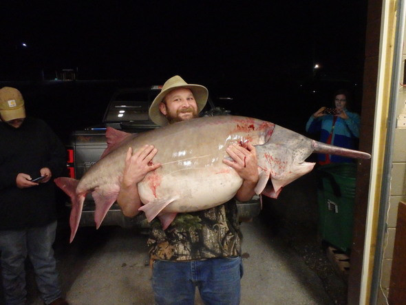 More information about "MO state record paddlefish caught in Table Rock"