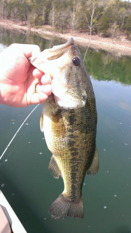 More information about "Baxter Area 4/16"