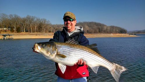 More information about "Monster Report 2-9-2015"