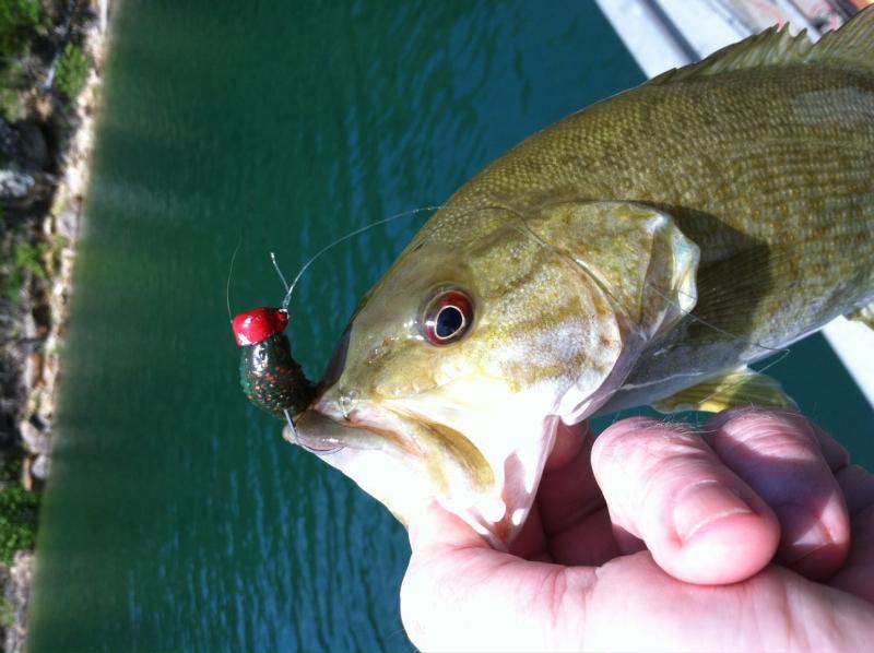 More information about "Dam Report, 5-19-15, a lesson in Ned"