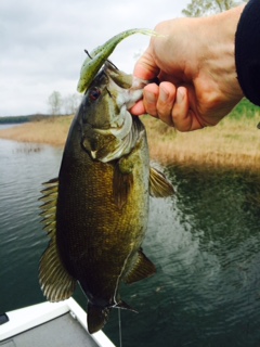 More information about "Lead Hill  4/18"