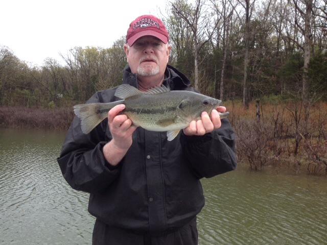 More information about "report from 4/18 state park area"