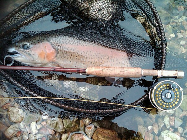 More information about "River Is Looking Great For The Start Of The 2015 Catch And Keep Season"