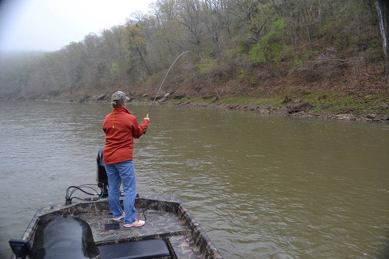 More information about "A great day throwing clousers"