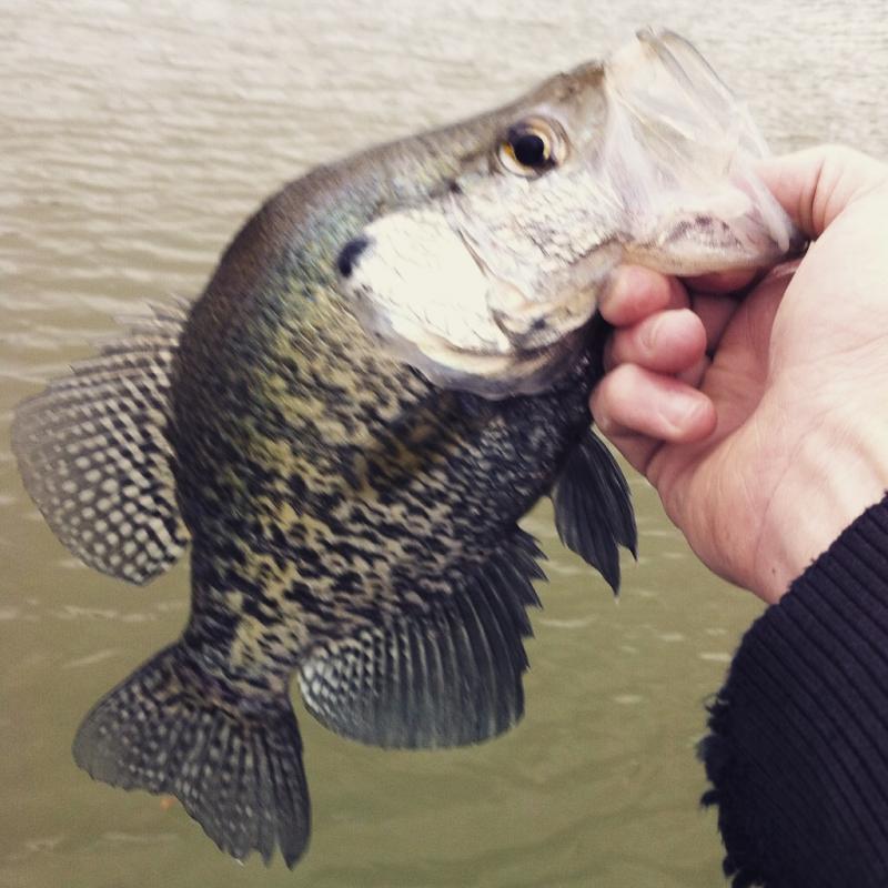 More information about "Off work, let's go fish."