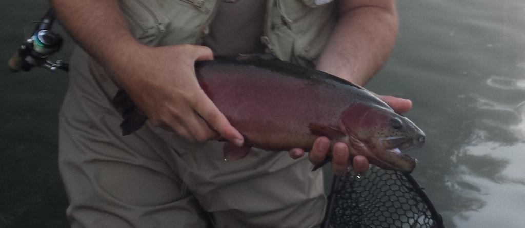 More information about "TR 6-7 to 6-12"