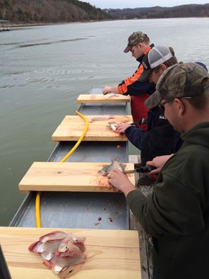 More information about "James River Crappie and Snagging Report"