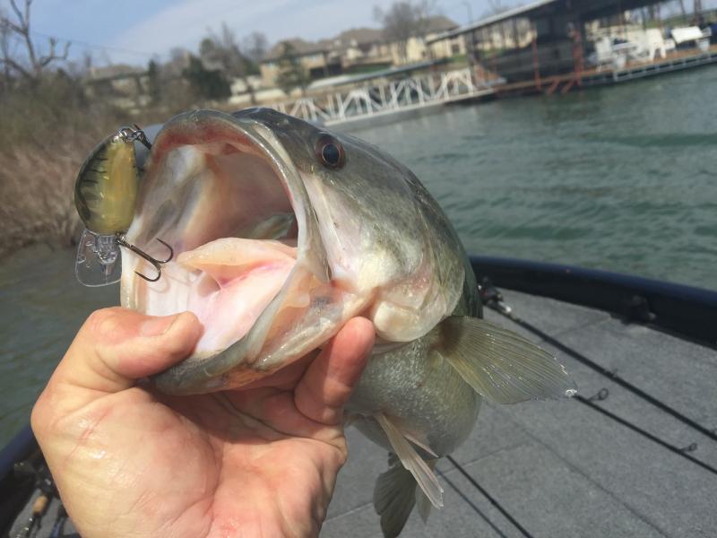 More information about "Last Weeks Good, Bad, Ugly and Very Good  3-30-15"