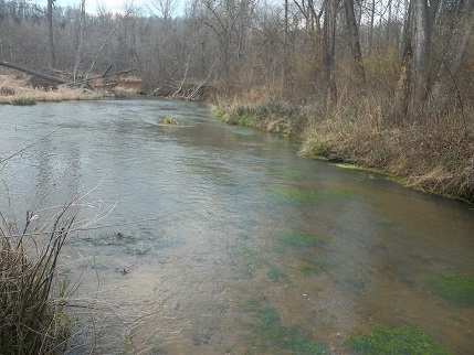 More information about "Little Piney River on Saturday"