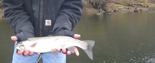 More information about "Dead Drifting"