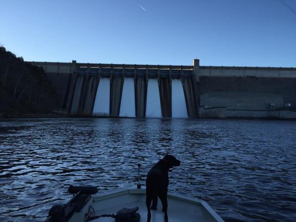 More information about "Lake Taneycomo - November 19"