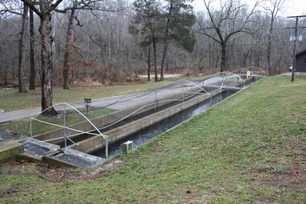 More information about "Montauk Trout Hatchery"