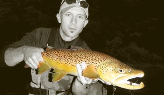 Night Time Report - White River Fishing Reports - OzarkAnglers.Com