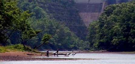 More information about "Seasonal Issue: Low Dissolved Oxygen and Restricted Flows"