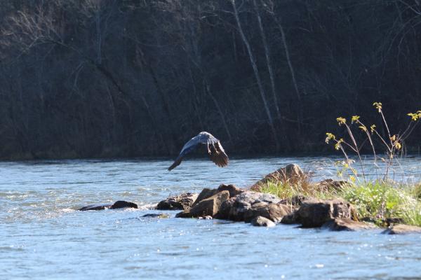 More information about "2015 Jigfest Reports"