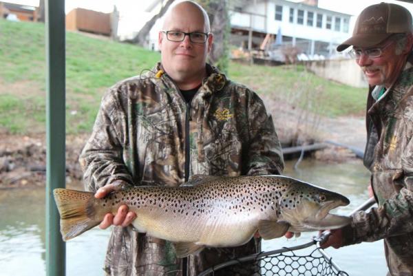 More information about "27-inch Brown on Taneycomo"