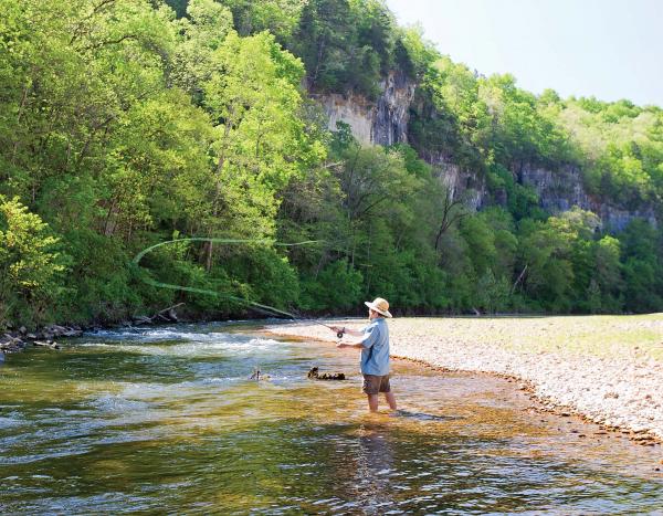 More information about "Regulations"