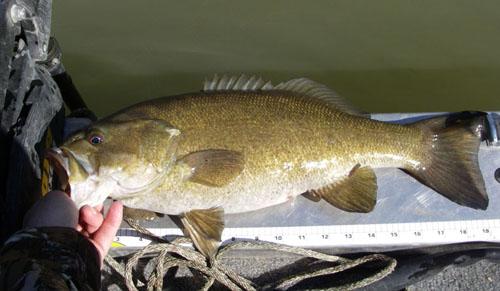 More information about "Regulations"