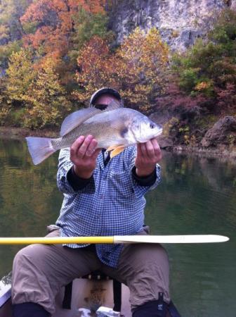 More information about "Regulations"