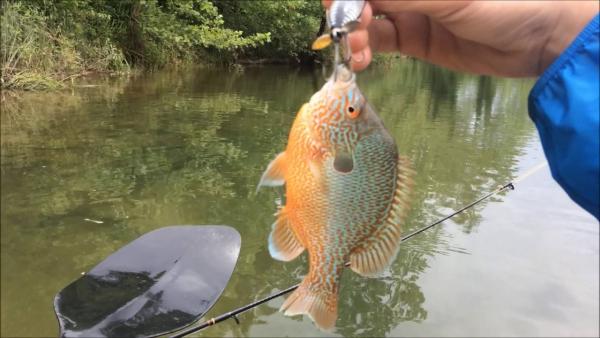 More information about "Regulations"