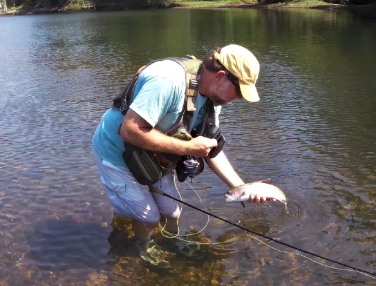 More information about "Scouting the Narrows"