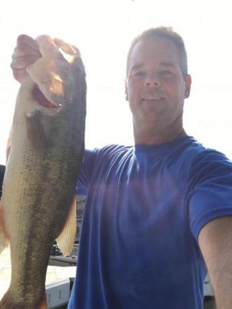 More information about "Decent summer fish"