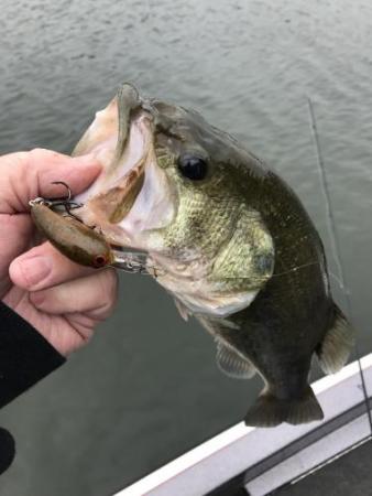 More information about "Tuesday trip"