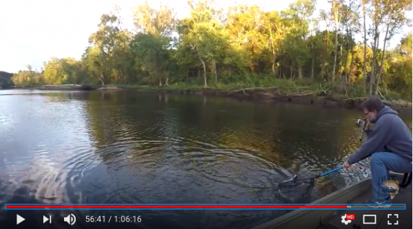 More information about "Lilley's Lake Taneycomo fishing report, October 13"