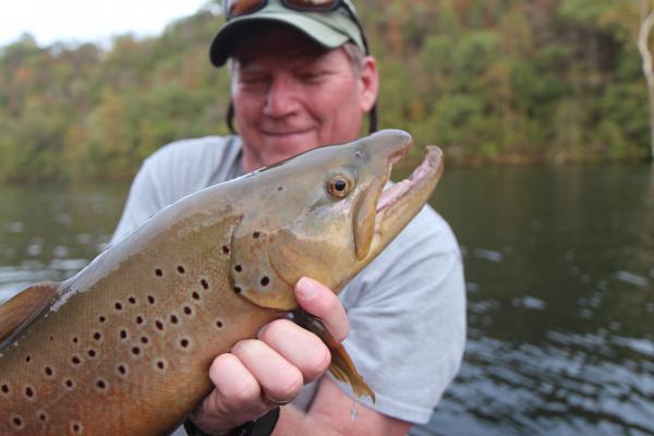 More information about "Two special trout this week on Taneycomo"