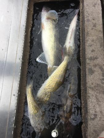 More information about "Them fish didn't mind a little rain this morning"