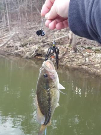 More information about "Cape Fair 12/3/17"