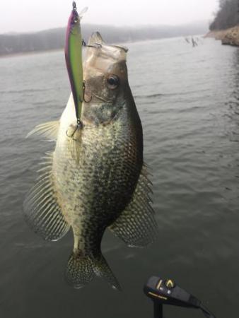 More information about "Got out for a few hours today"