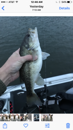 More information about "Norfork - Red bank Fishing Report 12/22/17"