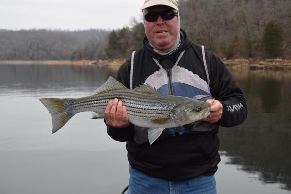 More information about "December 20, Indian Creek arm"