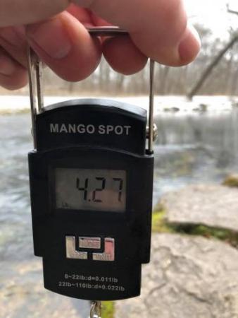More information about "Bored so I went Fishing"