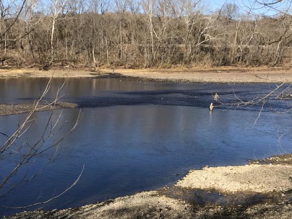 More information about "January 25... wade below the dam"