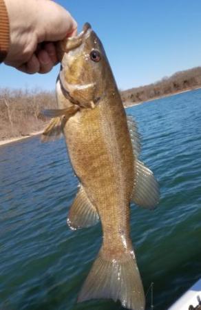 More information about "2/26 fishing report"