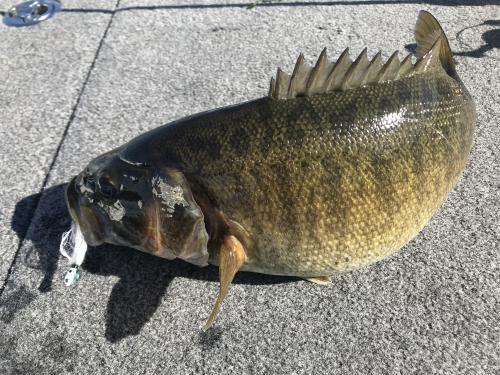 More information about "Sunday Fishing Report"