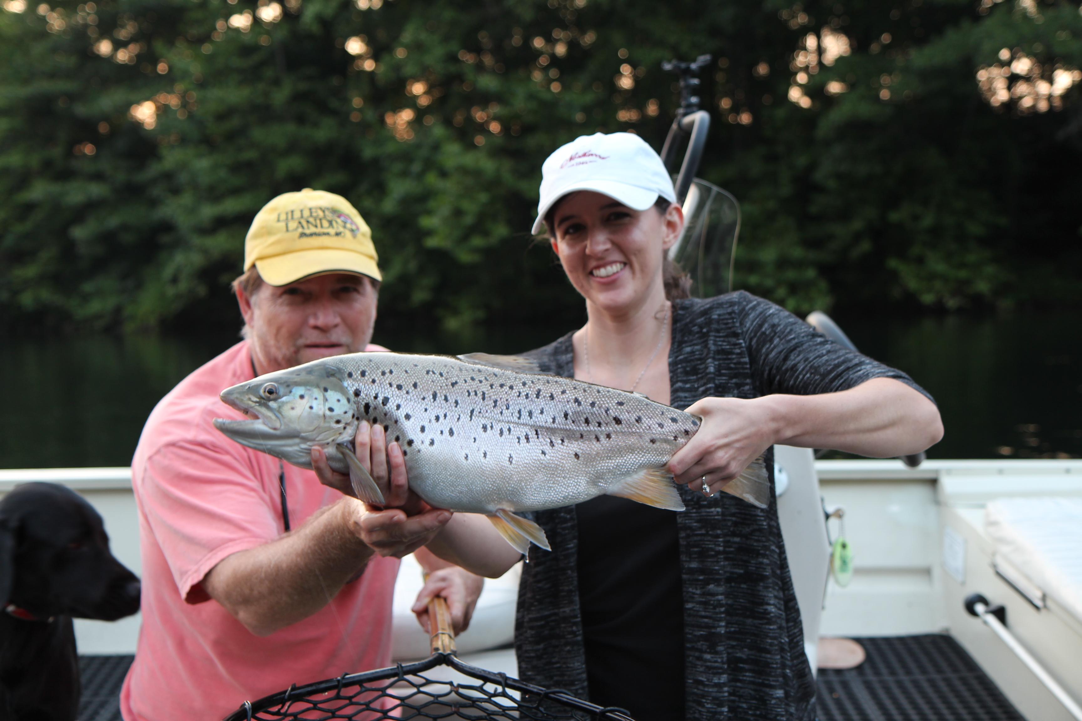 More information about "Lake Taneycomo Overview"