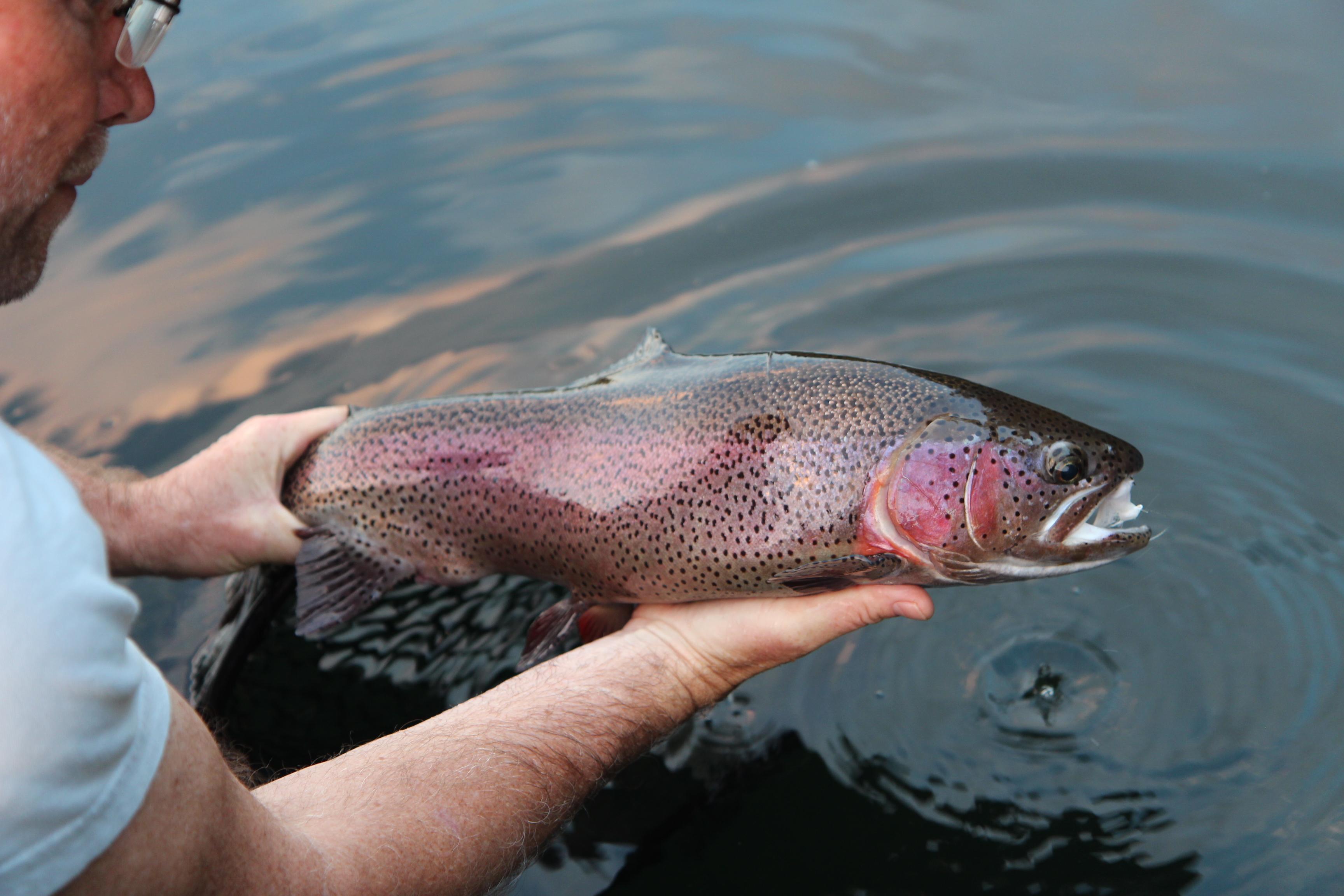 More information about "Missouri's First Lady of Trout Fishing"