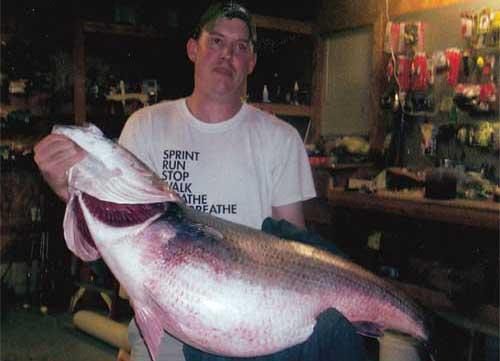 More information about "Missouri Record Striper, 2011"