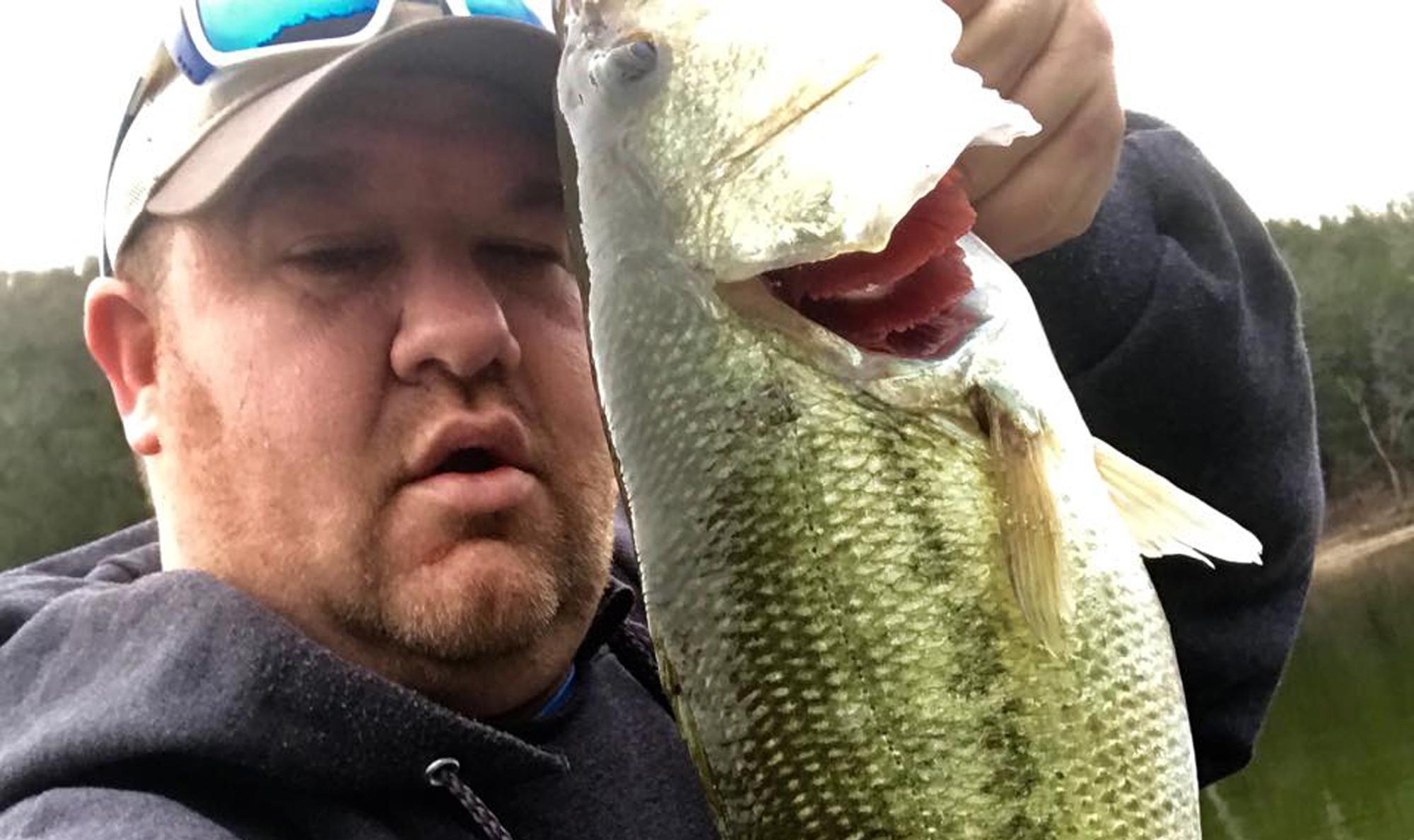 More information about "Cape Fair 4/25"