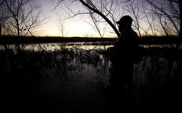 More information about "MDC sets migratory game bird and waterfowl hunting seasons"