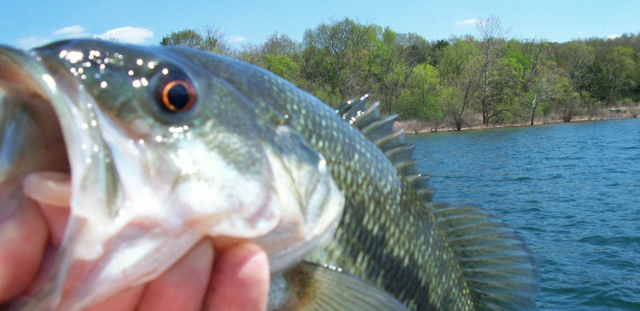 More information about "Dam Area Report 5-11-18"