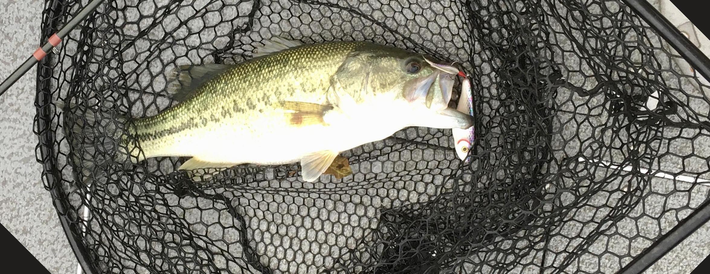 More information about "Out early on the Upper End"